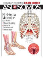 Así Somos - El cuerpo humano